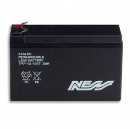 Ness Alarm System Battery